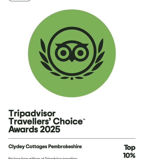 Trip Advisor Award 2025